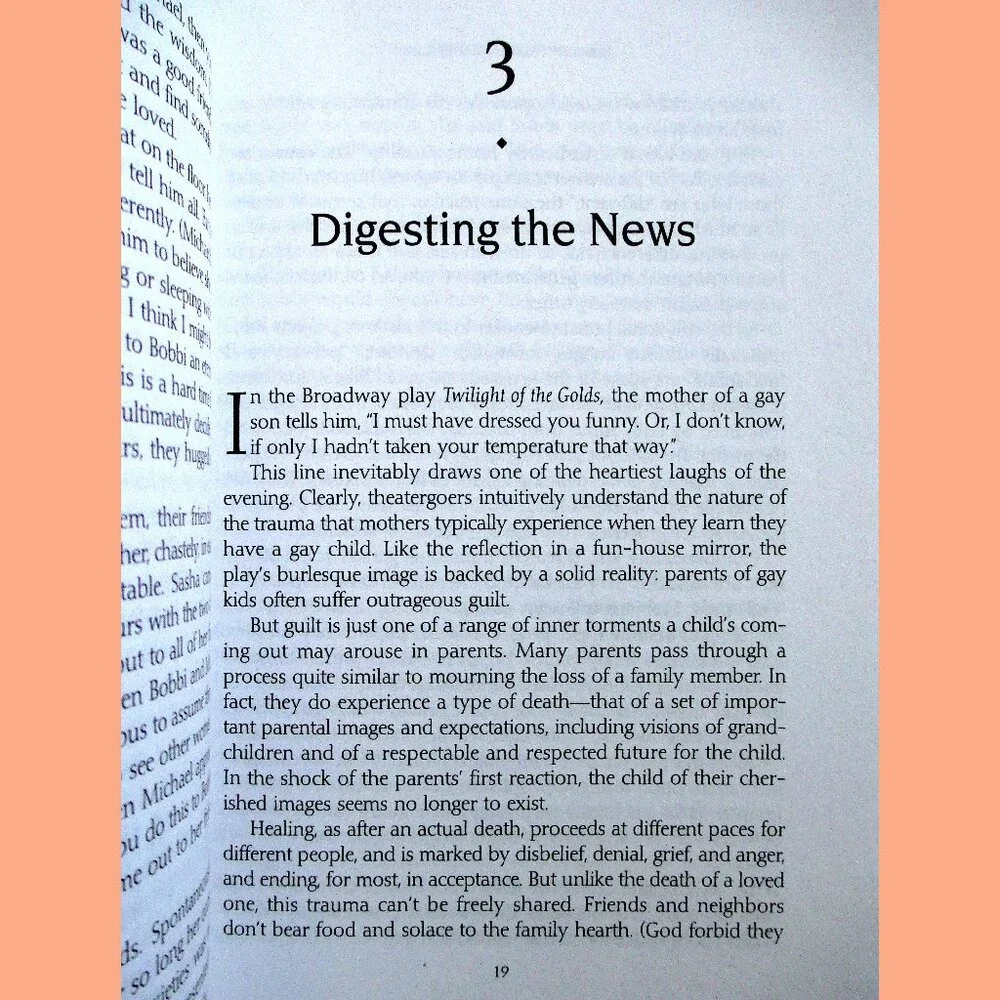 Book - Straight Parents, Gay Children: Inspiring Families to Live Honestly.... - Picture 8 of 14